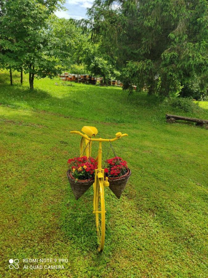 Dorina Hiza Villa Karlovac Exterior photo